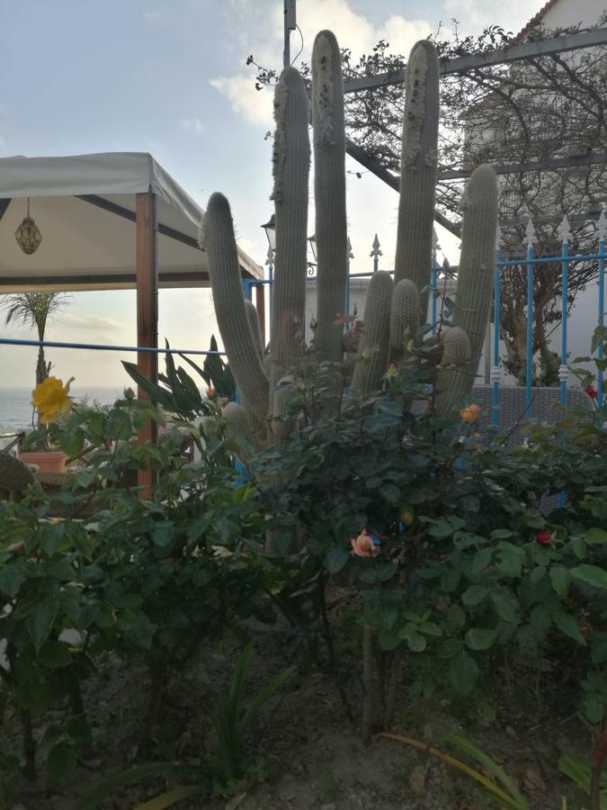 洛雷塔别墅 Forio di Ischia 外观 照片