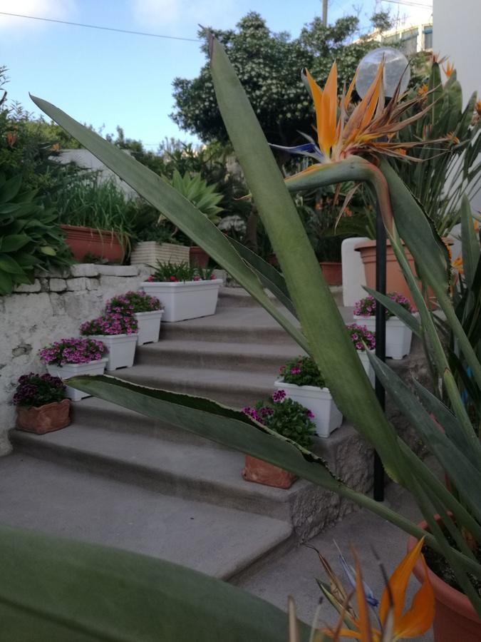 洛雷塔别墅 Forio di Ischia 外观 照片