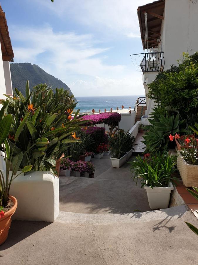 洛雷塔别墅 Forio di Ischia 外观 照片